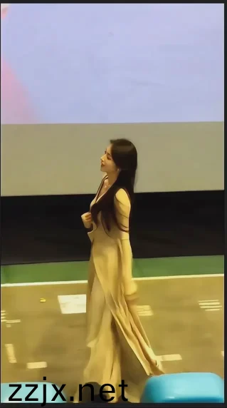 国产麻豆影视一二三区